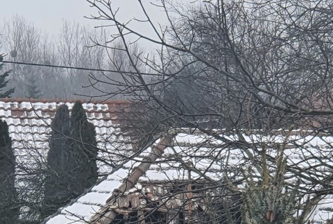 zemetrasenie spôsobilo pád komína