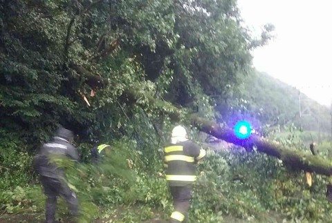 Rýchlik smerujúci do Bratislavy narazil do padnutého stromu. Trať je uzavretá 