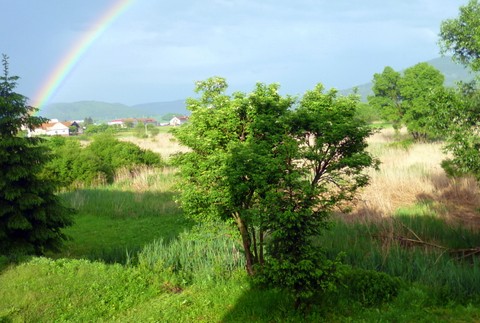 Vígľaš potopa voda cesta ulice