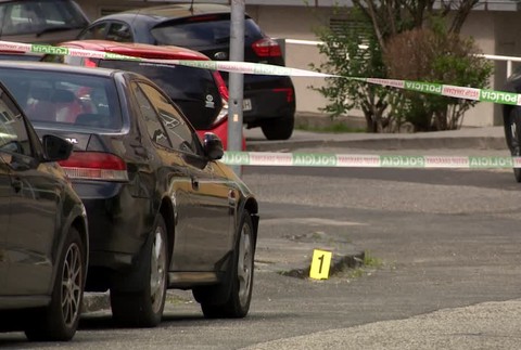 [multi] Bodnuta zena 8753