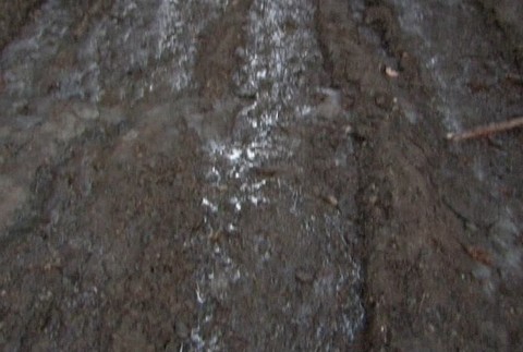 [multi] Dvaja mrtvi 766