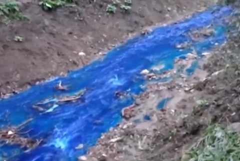 Modrý potok v Košeckom Podhradí