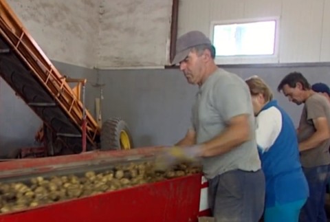 Slováci sa môžu radovať. Zamestnávatelia chcú naberať tisícky nových ľudí