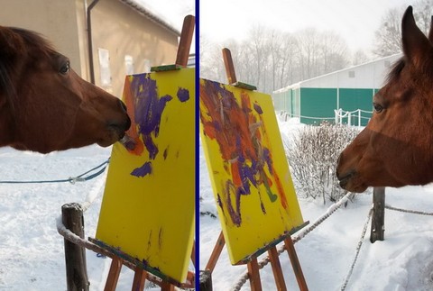 Kobyla Maceba maľuje, koláž