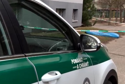 Devínska Nová Ves, vyskočila z okna