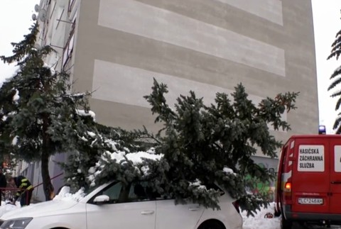Hasiči zasahovali na sídlisku. Spod padnutého stromu vyťahovali auto