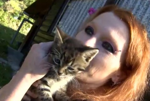 Na sídlisku v Čadci niekto pravdepodobne dokopal malú mačku, nejde o jediný útok na zviera