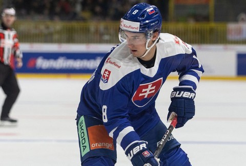 Hokejová reprezentácia