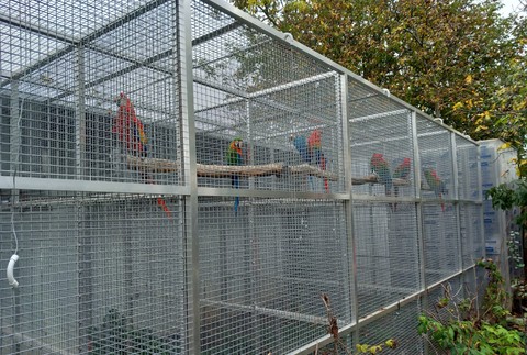 406055489_741020108063560_1802586946378635725_n