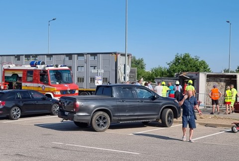 WhatsApp Image 2023-07-20 at 08.38.20