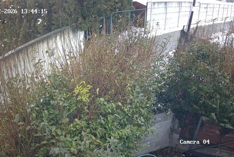 [multi] Zemetrasenie od čitateľov komplet 1156