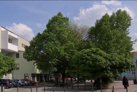 Kontroverzné rozhodnutie poslancov. Schválili nariadenie, ktoré zakazuje ľuďom spať na ulici