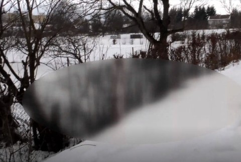 Hrozivý nález na koľajniciach. Partia chlapcov tu našla ležať srnca bez hlavy