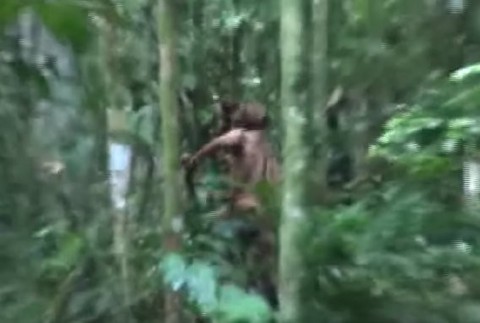 Tarzan v brazílskom pralese