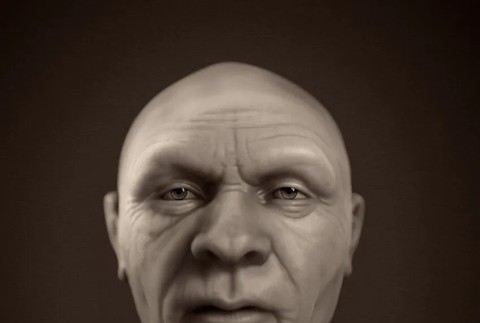 Homo neanderthalensis