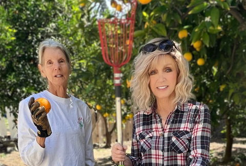 Donna Mills