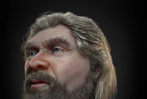 Homo neanderthalensis