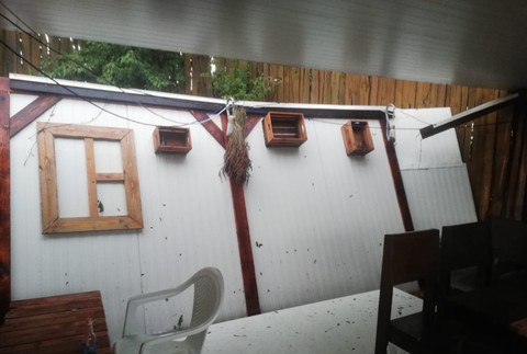 456390397_1148837330051167_4868730211221946756_n