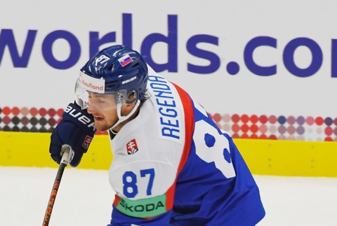 MS v hokeji SR USA  Pavol Regenda