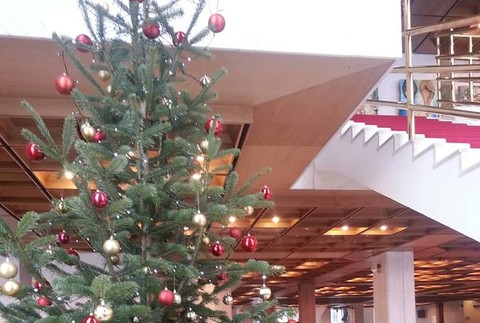 Vianočný stromček v parlamente 