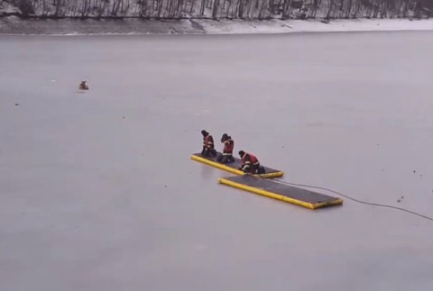 Záchranná akcia na vodnej nádrži. Jelenča uviazlo na zamrznutej hladine
