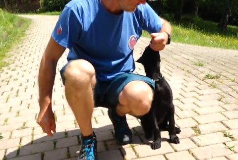 Screenshot 2024-07-27 093735