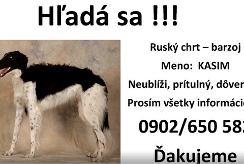 Je dôverčivý, prítulný a momentálne stratený. Pomôžte nájsť Kasima