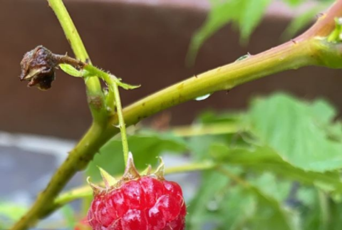 Ivana Gaborik po dovolenke (4)