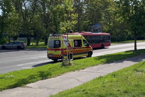 zrazena chodkyna (2)