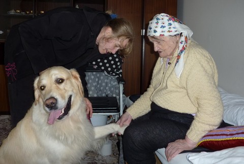 Dni dobrovoľníctva 2011