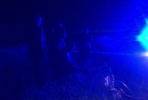 [multi] V lese pri Komárne našli na smrť dobitú mladú ženu. 12507