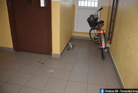  Útočník vtrhol do bytu, ohrozoval aj tehotnú ženu, zadržali ho policajtky