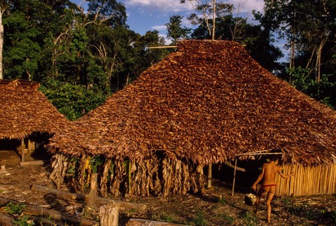 Domorodý indiánsky kmeň Yanomamiovia5.jpg