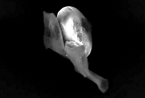 dôkaz mimozemský život 3