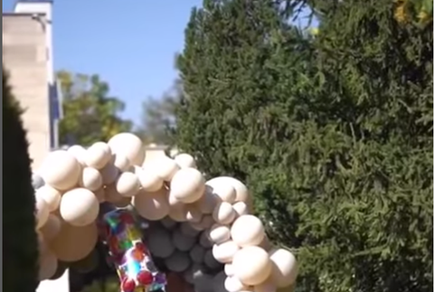 Snímka obrazovky 2023-09-13 o 11.46.08