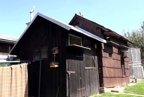 Majiteľ prichytil zlodeja pri čine. Kradol mu holuby3282