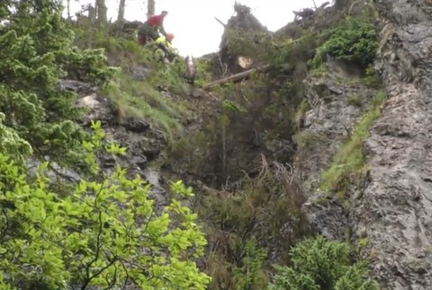 Špecialisti na výškové práce zachraňovali turistickú sezónu v Tatrách. Spíliť museli takmer 30 stromov