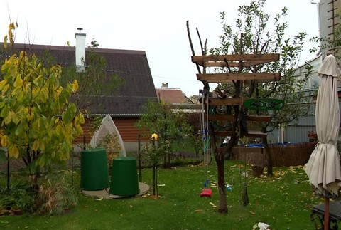 KN Strielal na psa382