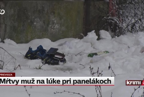 [multi] Mŕtvy muž na lúke pri panelákoch 11278