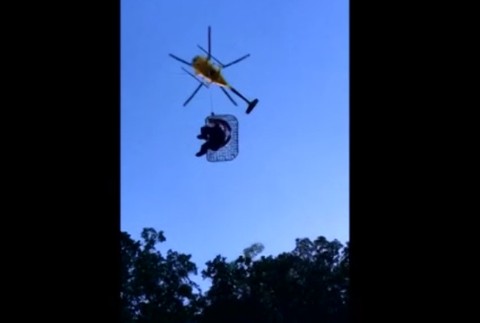 V divočine prežila neuveriteľných 17 dní. Podľa jej záchrancov ju našli len zázrakom