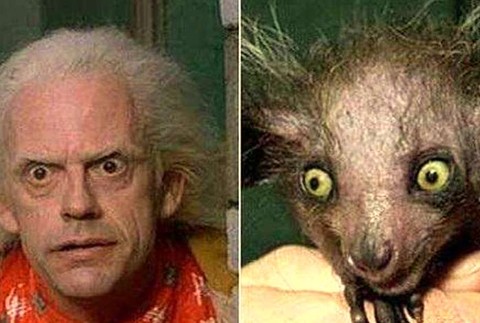 Christopher Lloyd
