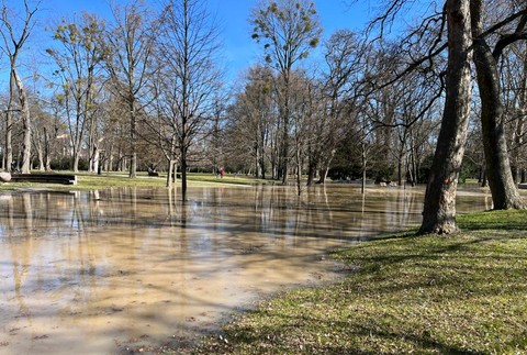 Voda Sad Janka Kráľa