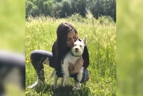 Viacero psov v Žiline zomrelo na následky otravy.