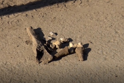 Pri materskej škole našli ľudské pozostatky