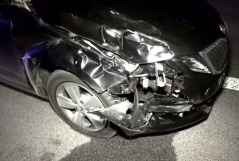 Auto zrazilo medveďa