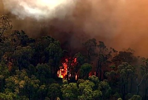 Austrália v plameňoch. Na východe krajiny horí približne 150 ohnísk