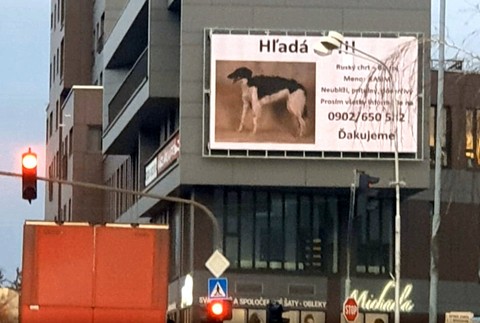 Je dôverčivý, prítulný a momentálne stratený. Pomôžte nájsť Kasima