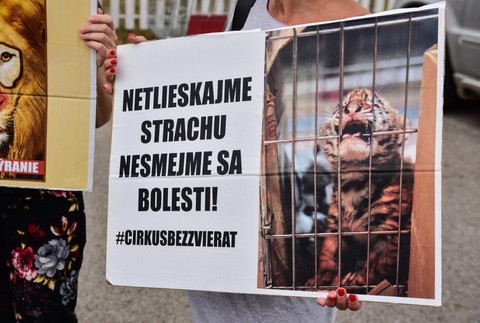 Protest proti cirkusu 