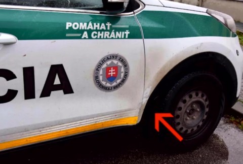 policajná nahánačka