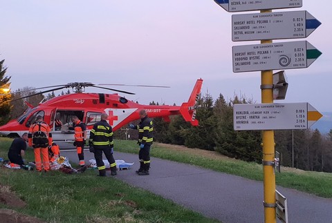 Medvedica napadla dvoch turistov. Jeden je v ťažkom stave, museli ho previezť vrtuľníkom